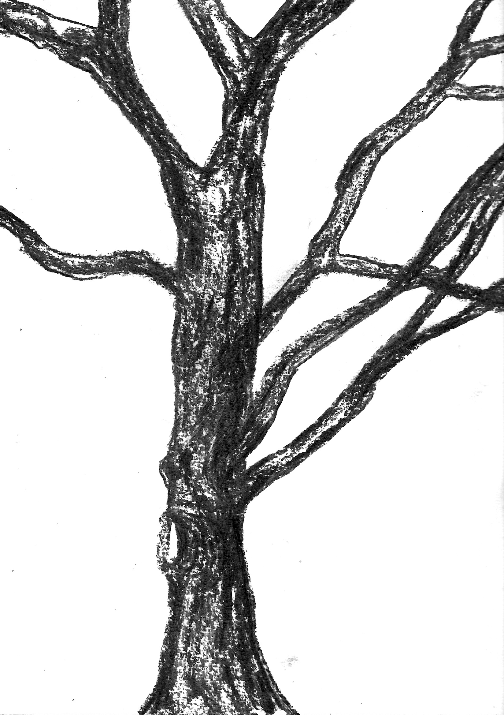 EPSON MFP image